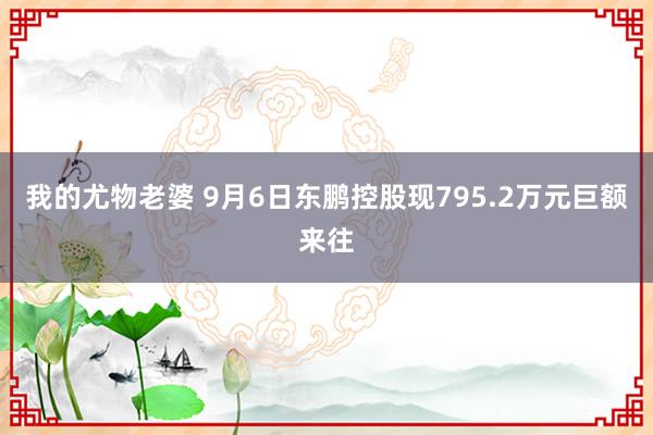 我的尤物老婆 9月6日东鹏控股现795.2万元巨额来往