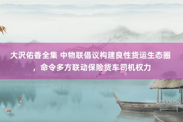 大沢佑香全集 中物联倡议构建良性货运生态圈 ，命令多方联动保险货车司机权力