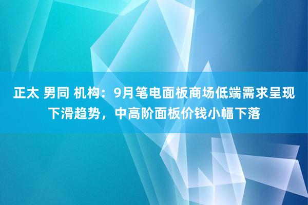 正太 男同 机构：9月笔电面板商场低端需求呈现下滑趋势，中高阶面板价钱小幅下落