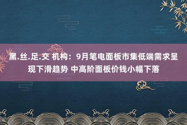 黑.丝.足.交 机构：9月笔电面板市集低端需求呈现下滑趋势 中高阶面板价钱小幅下落