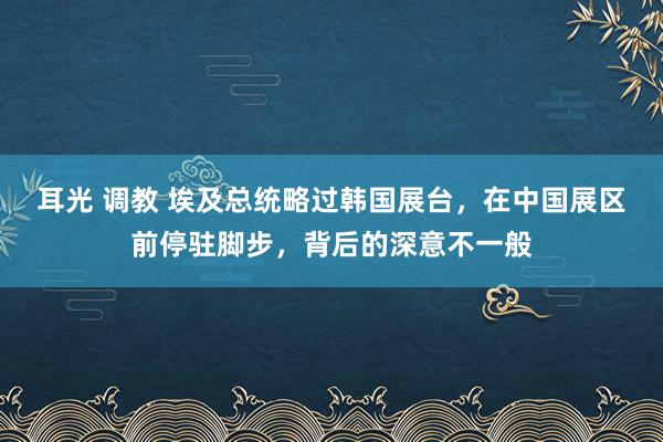 耳光 调教 埃及总统略过韩国展台，在中国展区前停驻脚步，背后的深意不一般