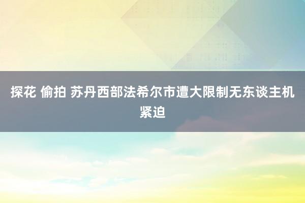 探花 偷拍 苏丹西部法希尔市遭大限制无东谈主机紧迫