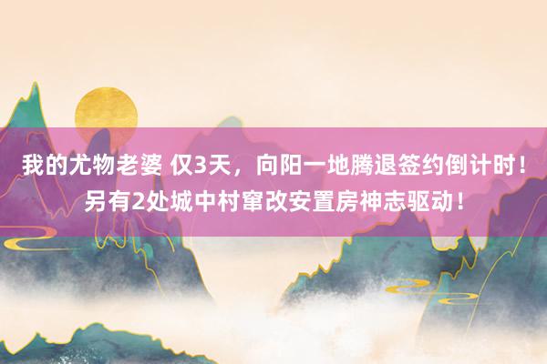 我的尤物老婆 仅3天，向阳一地腾退签约倒计时！另有2处城中村窜改安置房神志驱动！