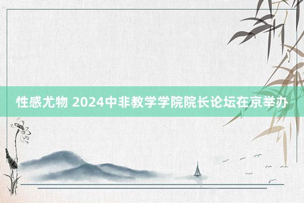 性感尤物 2024中非教学学院院长论坛在京举办