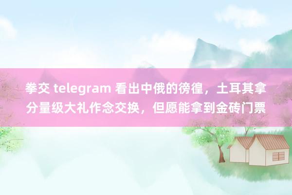 拳交 telegram 看出中俄的徬徨，土耳其拿分量级大礼作念交换，但愿能拿到金砖门票