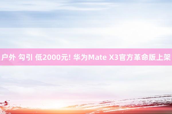 户外 勾引 低2000元! 华为Mate X3官方革命版上架