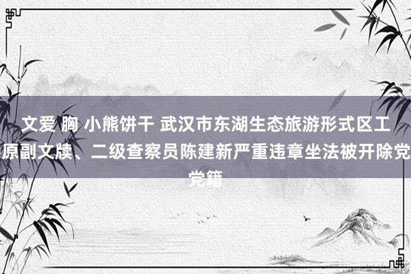 文爱 胸 小熊饼干 武汉市东湖生态旅游形式区工委原副文牍、二级查察员陈建新严重违章坐法被开除党籍