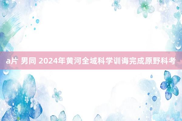 a片 男同 2024年黄河全域科学训诲完成原野科考