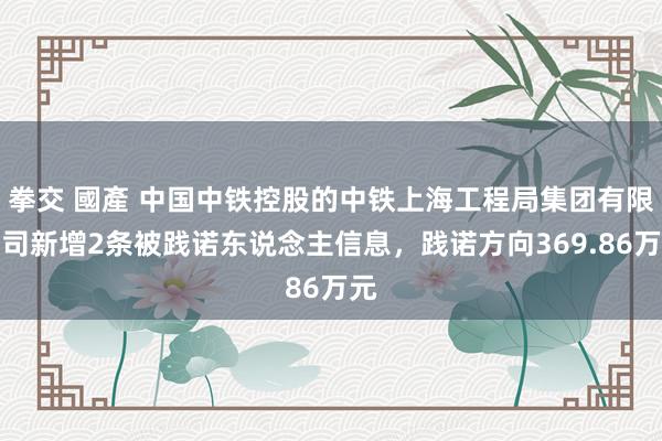 拳交 國產 中国中铁控股的中铁上海工程局集团有限公司新增2条被践诺东说念主信息，践诺方向369.86万元