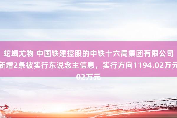 蛇蝎尤物 中国铁建控股的中铁十六局集团有限公司新增2条被实行东说念主信息，实行方向1194.02万元