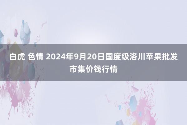 白虎 色情 2024年9月20日国度级洛川苹果批发市集价钱行情