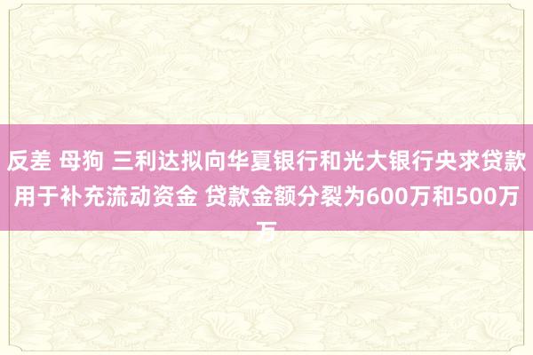 反差 母狗 三利达拟向华夏银行和光大银行央求贷款用于补充流动资金 贷款金额分裂为600万和500万