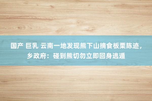 国产 巨乳 云南一地发现熊下山摘食板栗陈迹，乡政府：碰到熊切勿立即回身逃遁