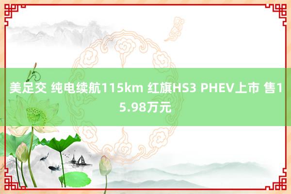 美足交 纯电续航115km 红旗HS3 PHEV上市 售15.98万元