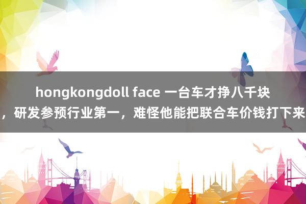 hongkongdoll face 一台车才挣八千块，研发参预行业第一，难怪他能把联合车价钱打下来