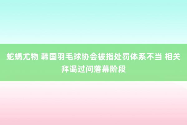 蛇蝎尤物 韩国羽毛球协会被指处罚体系不当 相关拜谒过问落幕阶段