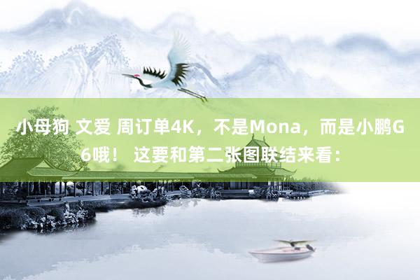 小母狗 文爱 周订单4K，不是Mona，而是小鹏G6哦！ 这要和第二张图联结来看：