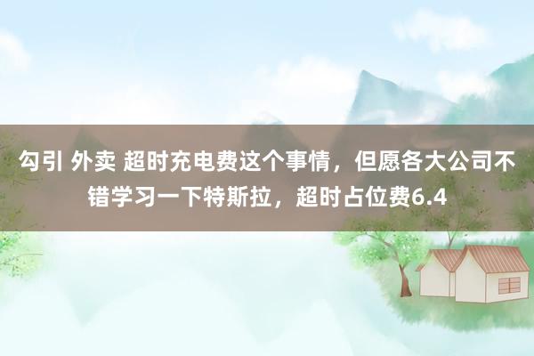 勾引 外卖 超时充电费这个事情，但愿各大公司不错学习一下特斯拉，超时占位费6.4