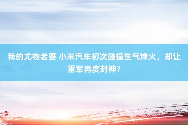 我的尤物老婆 小米汽车初次碰撞生气烽火，却让雷军再度封神？