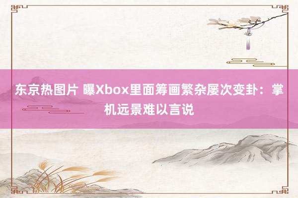 东京热图片 曝Xbox里面筹画繁杂屡次变卦：掌机远景难以言说