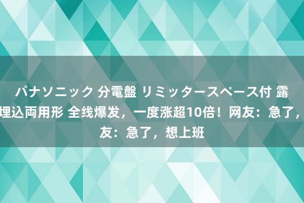 パナソニック 分電盤 リミッタースペース付 露出・半埋込両用形 全线爆发，一度涨超10倍！网友：急了，想上班