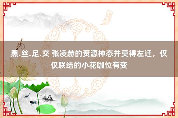 黑.丝.足.交 张凌赫的资源神态并莫得左迁，仅仅联结的小花咖位有变