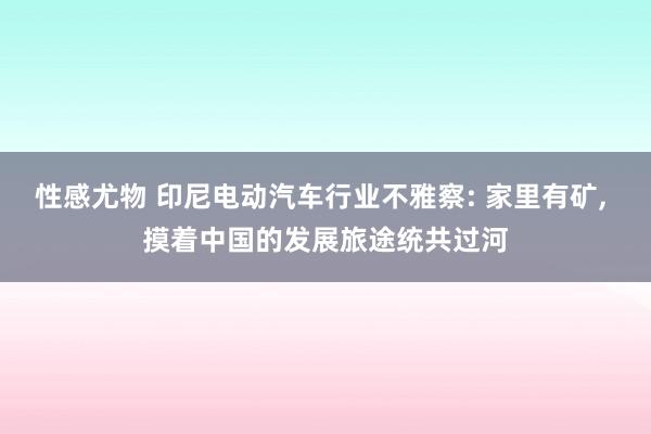 性感尤物 印尼电动汽车行业不雅察: 家里有矿， 摸着中国的发展旅途统共过河