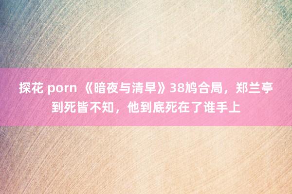 探花 porn 《暗夜与清早》38鸠合局，郑兰亭到死皆不知，他到底死在了谁手上