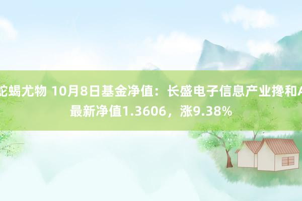 蛇蝎尤物 10月8日基金净值：长盛电子信息产业搀和A最新净值1.3606，涨9.38%