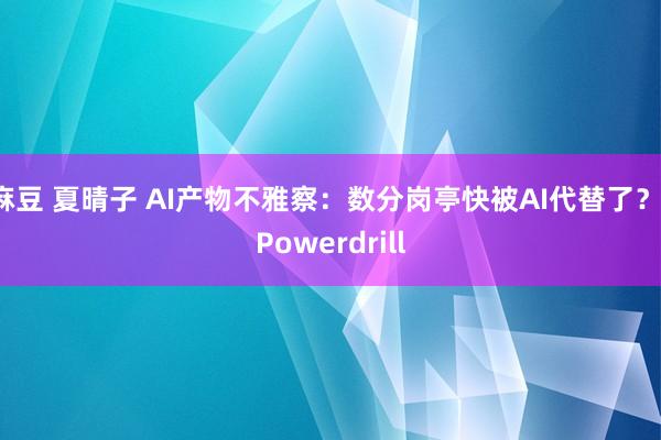 麻豆 夏晴子 AI产物不雅察：数分岗亭快被AI代替了？-Powerdrill