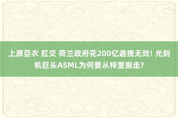 上原亞衣 肛交 荷兰政府花200亿遮挽无效! 光刻机巨头ASML为何要从梓里搬走?