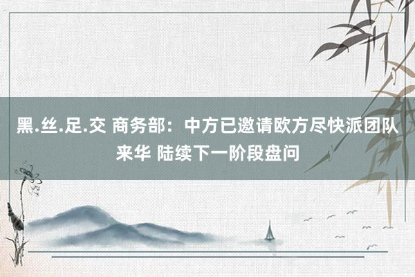 黑.丝.足.交 商务部：中方已邀请欧方尽快派团队来华 陆续下一阶段盘问