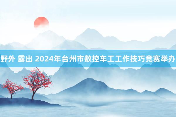 野外 露出 2024年台州市数控车工工作技巧竞赛举办