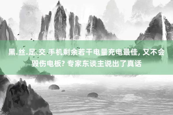 黑.丝.足.交 手机剩余若干电量充电最佳， 又不会毁伤电板? 专家东谈主说出了真话