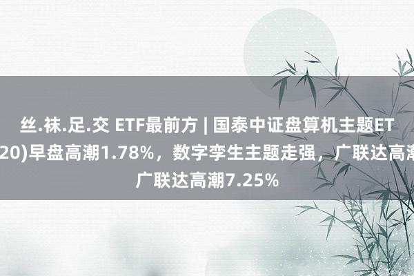 丝.袜.足.交 ETF最前方 | 国泰中证盘算机主题ETF(512720)早盘高潮1.78%，数字孪生主题走强，广联达高潮7.25%