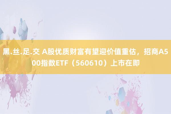 黑.丝.足.交 A股优质财富有望迎价值重估，招商A500指数ETF（560610）上市在即