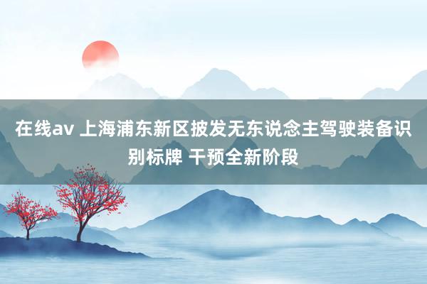 在线av 上海浦东新区披发无东说念主驾驶装备识别标牌 干预全新阶段