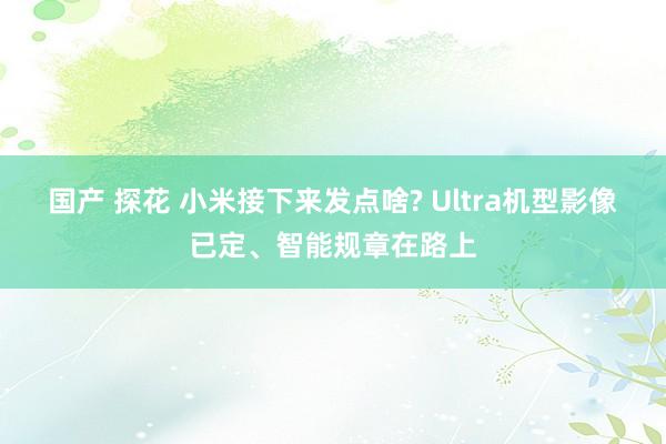 国产 探花 小米接下来发点啥? Ultra机型影像已定、智能规章在路上