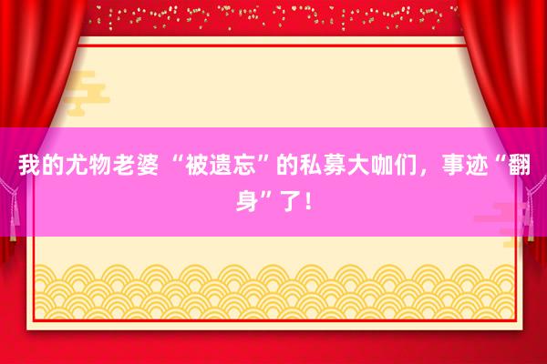 我的尤物老婆 “被遗忘”的私募大咖们，事迹“翻身”了！