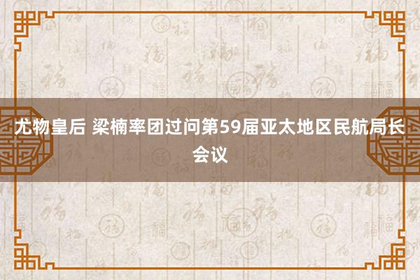 尤物皇后 梁楠率团过问第59届亚太地区民航局长会议