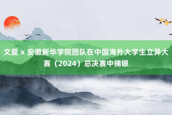 文爱 x 安徽新华学院团队在中国海外大学生立异大赛（2024）总决赛中摘银