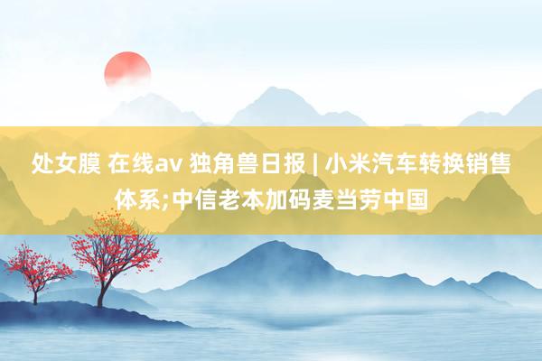 处女膜 在线av 独角兽日报 | 小米汽车转换销售体系;中信老本加码麦当劳中国