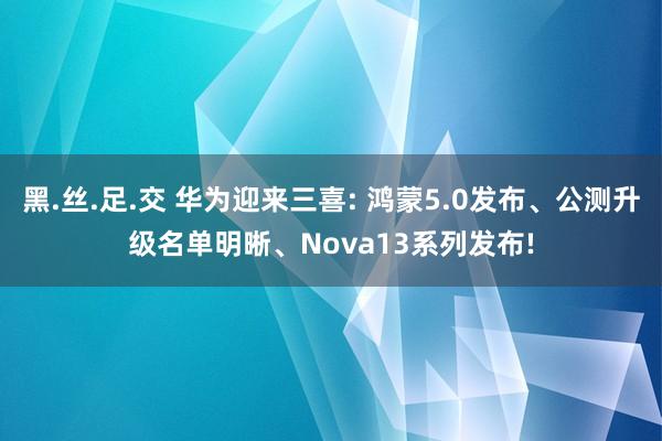 黑.丝.足.交 华为迎来三喜: 鸿蒙5.0发布、公测升级名单明晰、Nova13系列发布!