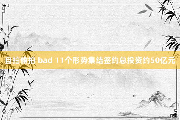 自拍偷拍 bad 11个形势集结签约总投资约50亿元