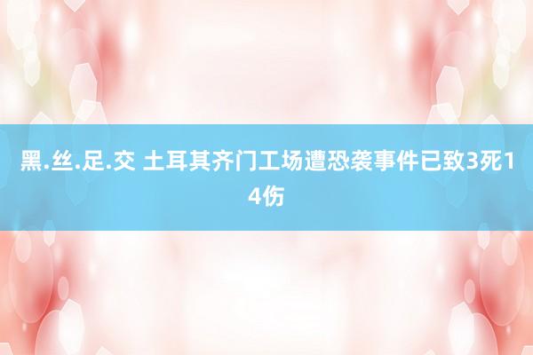 黑.丝.足.交 土耳其齐门工场遭恐袭事件已致3死14伤