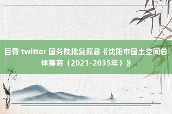 巨臀 twitter 国务院批复原意《沈阳市国土空间总体筹商（2021-2035年）》