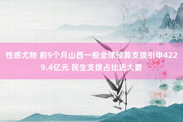 性感尤物 前9个月山西一般全球预算支拨引申4229.4亿元 民生支拨占比近大要