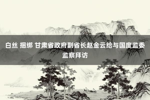 白丝 捆绑 甘肃省政府副省长赵金云给与国度监委监察拜访