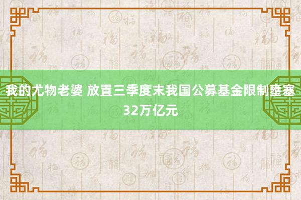 我的尤物老婆 放置三季度末我国公募基金限制壅塞32万亿元