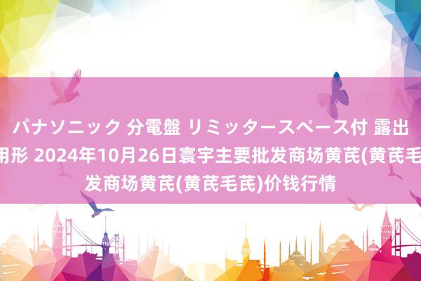 パナソニック 分電盤 リミッタースペース付 露出・半埋込両用形 2024年10月26日寰宇主要批发商场黄芪(黄芪毛芪)价钱行情